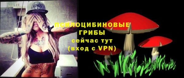 spice Алексин