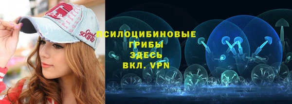 МДПВ Алзамай