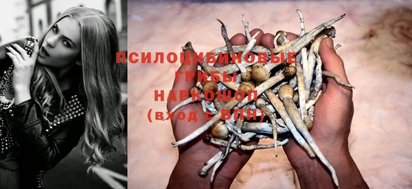каннабис Арсеньев