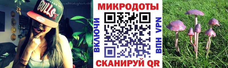 цены наркотик Михайловск Галлюциногенные грибы Magic Shrooms